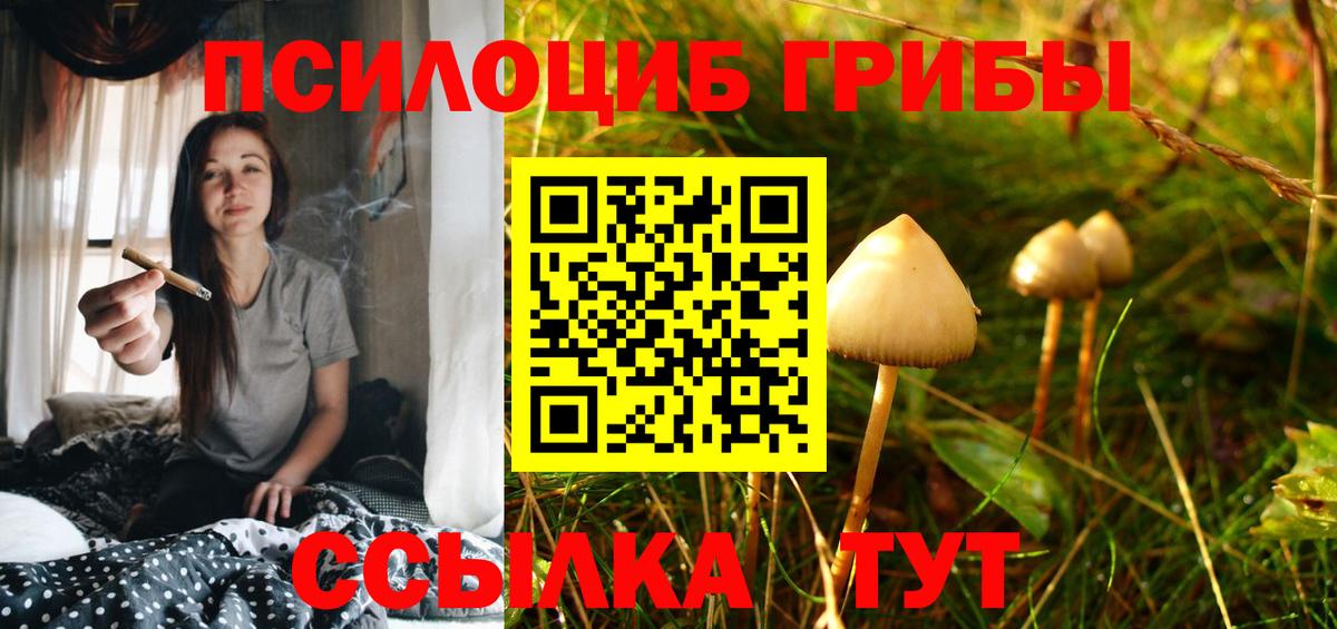 Михайловск  Галлюциногенные грибы GOLDEN TEACHER  Вход с VPN 