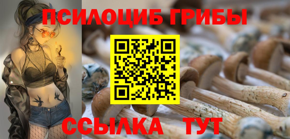 Псилоцибиновые грибы GOLDEN TEACHER Михайловск